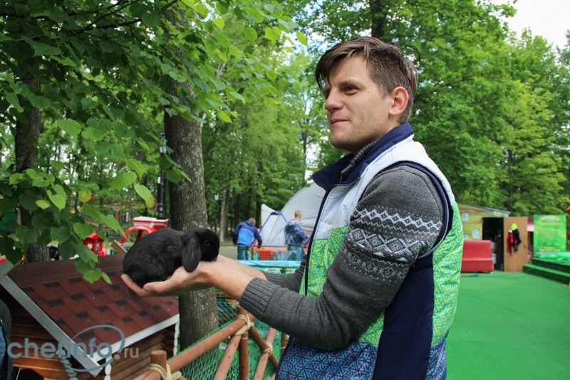 В череповецкий парк КиО завезли декоративных кроликов 