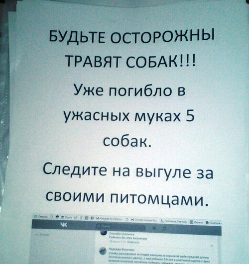 В Зашекснинском районе Череповца неизвестными отравлено несколько собак