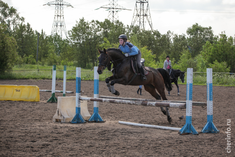 10−12 июня в Череповце пройдет открытый чемпионат и первенство Вологодской области по конному спорту