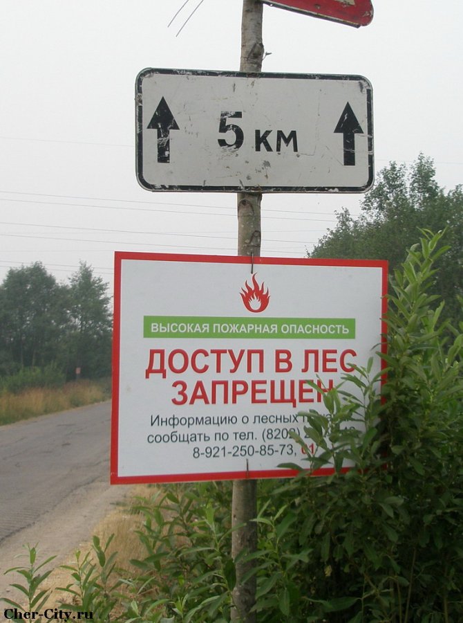 Доступ в лес запрещен, лето 2010 года