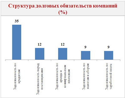 Структура долговых обязательств малого бизнеса Череповца, 2013 г.