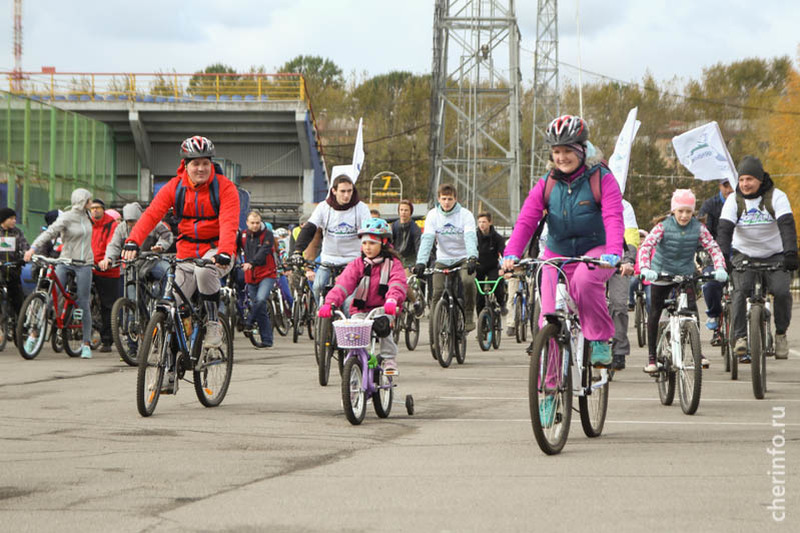 В Череповце отметили велопробегом Международный день без автомобиля